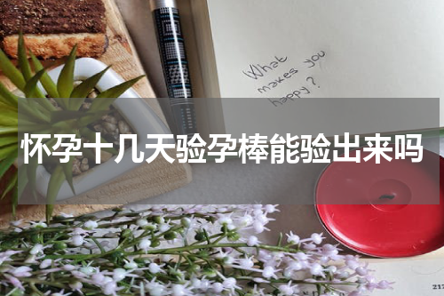 怀孕十几天验孕棒能验出来吗