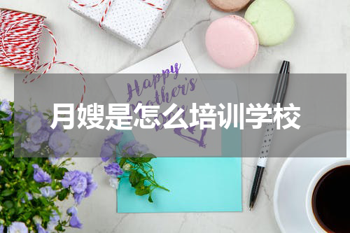 月嫂是怎么培训学校