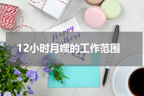 12小时月嫂的工作范围