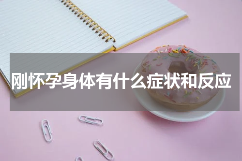 刚怀孕身体有什么症状和反应