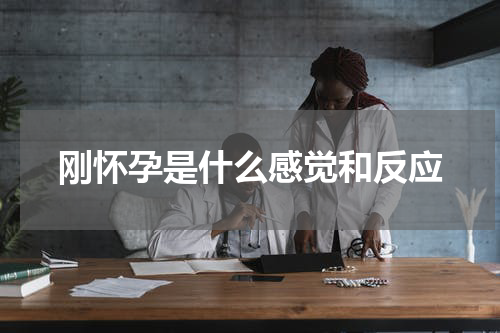 刚怀孕是什么感觉和反应