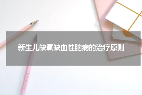 新生儿缺氧缺血性脑病的治疗原则