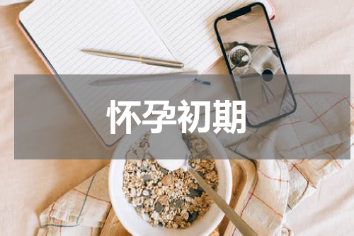 怀孕初期