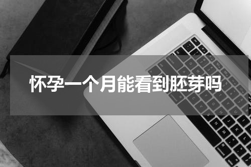 怀孕一个月能看到胚芽吗