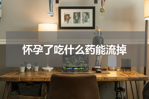 怀孕了吃什么药能流掉