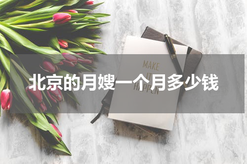 北京的月嫂一个月多少钱