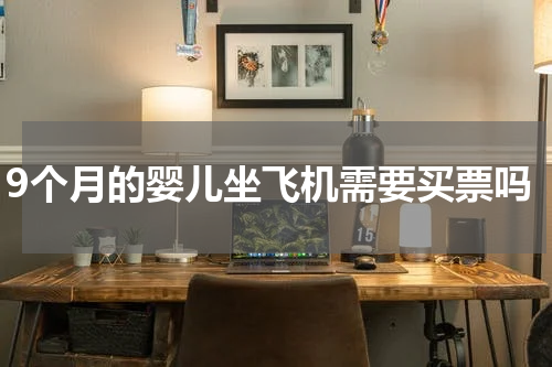 9个月的婴儿坐飞机需要买票吗