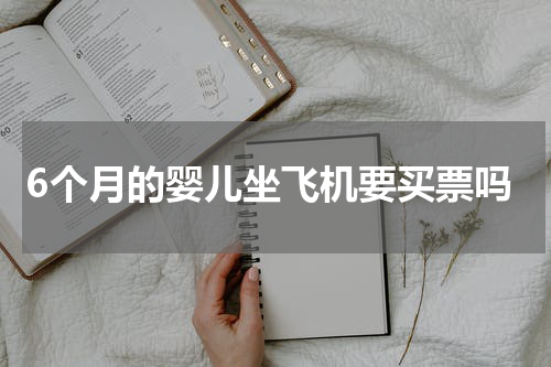 6个月的婴儿坐飞机要买票吗