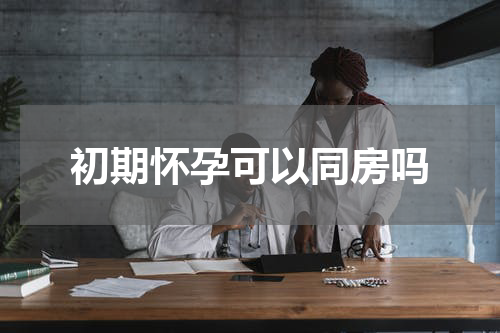 初期怀孕可以同房吗