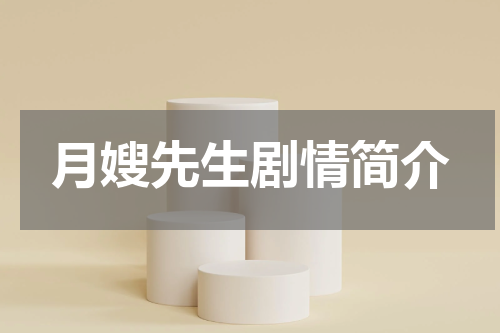 月嫂先生剧情简介