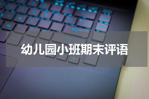幼儿园小班期末评语