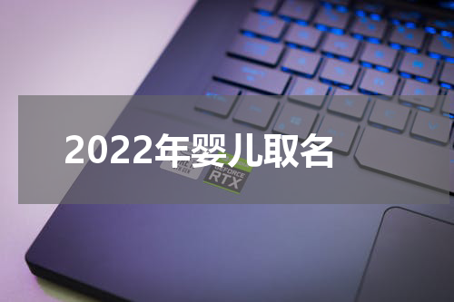 2022年婴儿取名