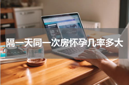 隔一天同一次房怀孕几率多大