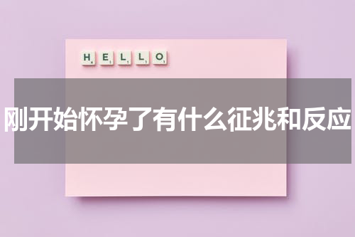 刚开始怀孕了有什么征兆和反应