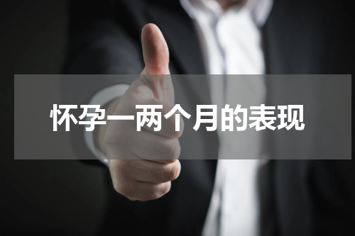 怀孕一两个月的表现