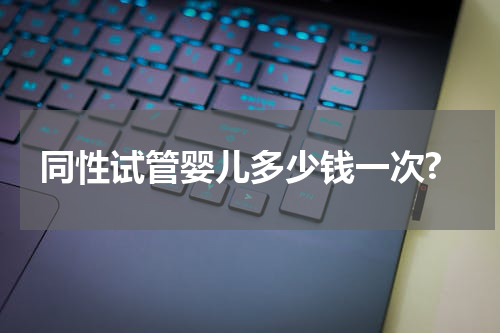 同性试管婴儿多少钱一次?