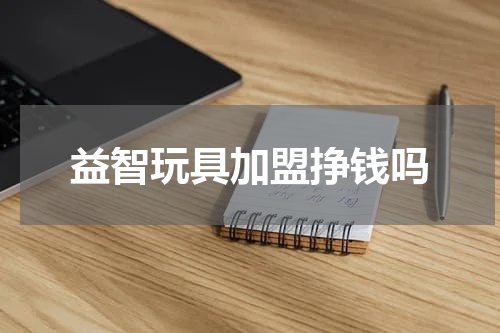 益智玩具加盟挣钱吗