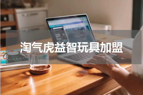 淘气虎益智玩具加盟