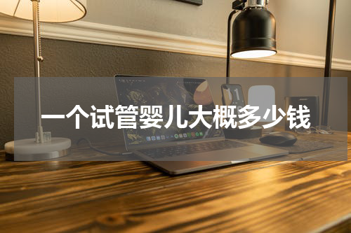 一个试管婴儿大概多少钱
