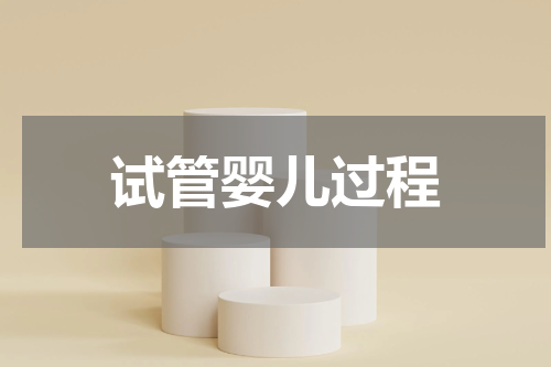 试管婴儿过程