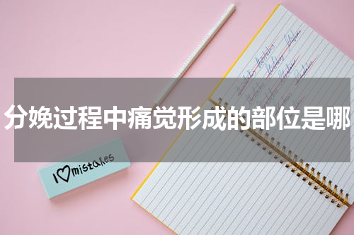 分娩过程中痛觉形成的部位是哪