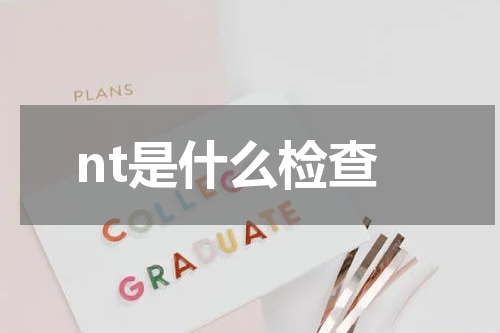 nt是什么检查