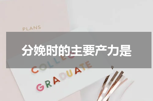分娩时的主要产力是