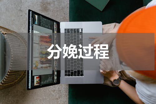 分娩过程