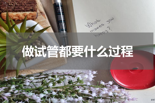 做试管都要什么过程