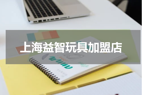上海益智玩具加盟店