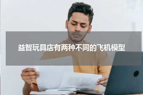 益智玩具店有两种不同的飞机模型