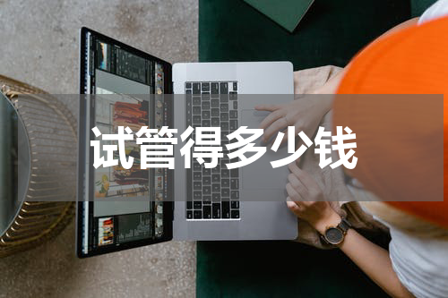 试管得多少钱