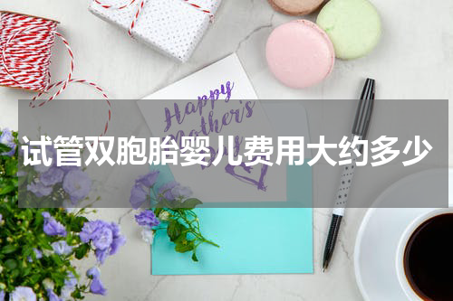 试管双胞胎婴儿费用大约多少