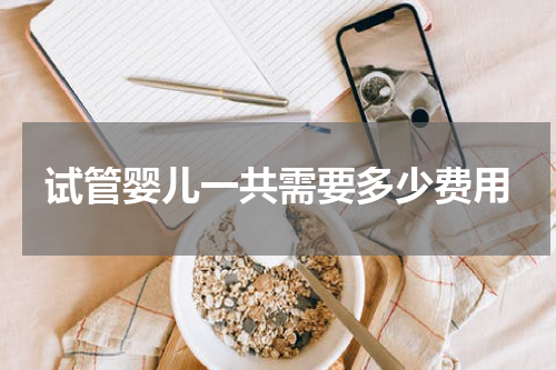 试管婴儿一共需要多少费用