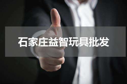 石家庄益智玩具批发