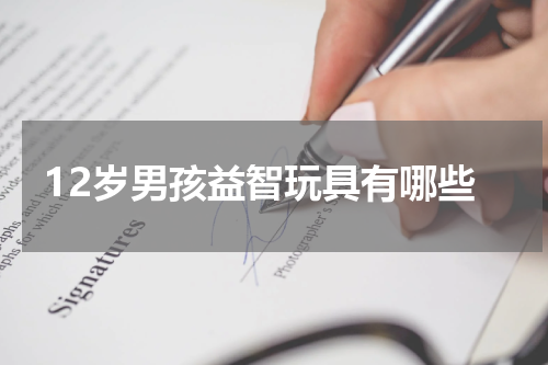 12岁男孩益智玩具有哪些