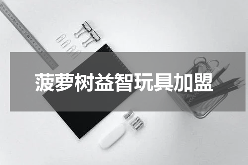 菠萝树益智玩具加盟