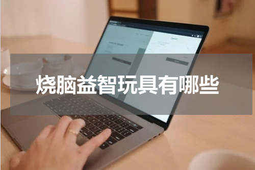 烧脑益智玩具有哪些