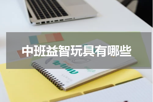 中班益智玩具有哪些