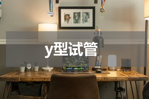 y型试管