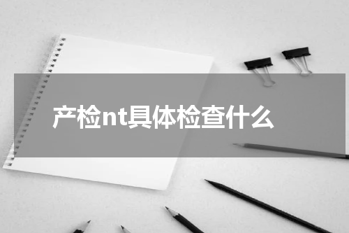 产检nt具体检查什么
