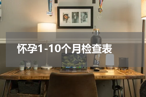 怀孕1-10个月检查表