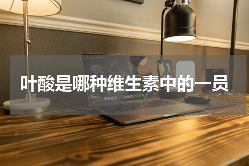 叶酸是哪种维生素中的一员