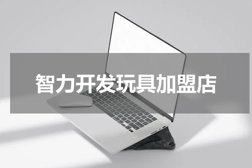 智力开发玩具加盟店