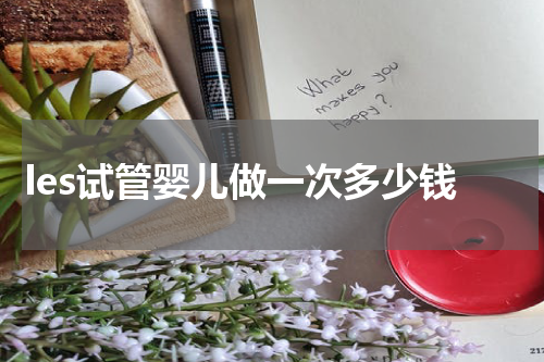 les试管婴儿做一次多少钱