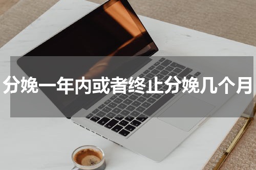 分娩一年内或者终止分娩几个月