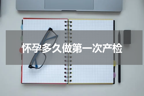 怀孕多久做第一次产检