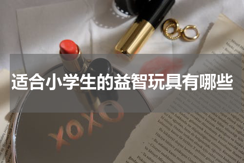 适合小学生的益智玩具有哪些