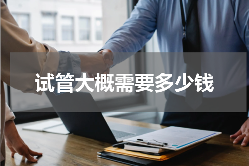 试管大概需要多少钱