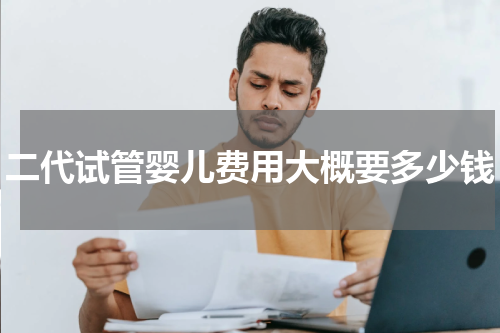 二代试管婴儿费用大概要多少钱